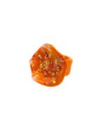 Coral - Imagen 2