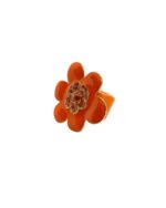 Gardenia - Imagen 2