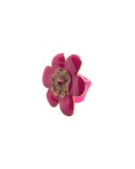 Gardenia - Imagen 2